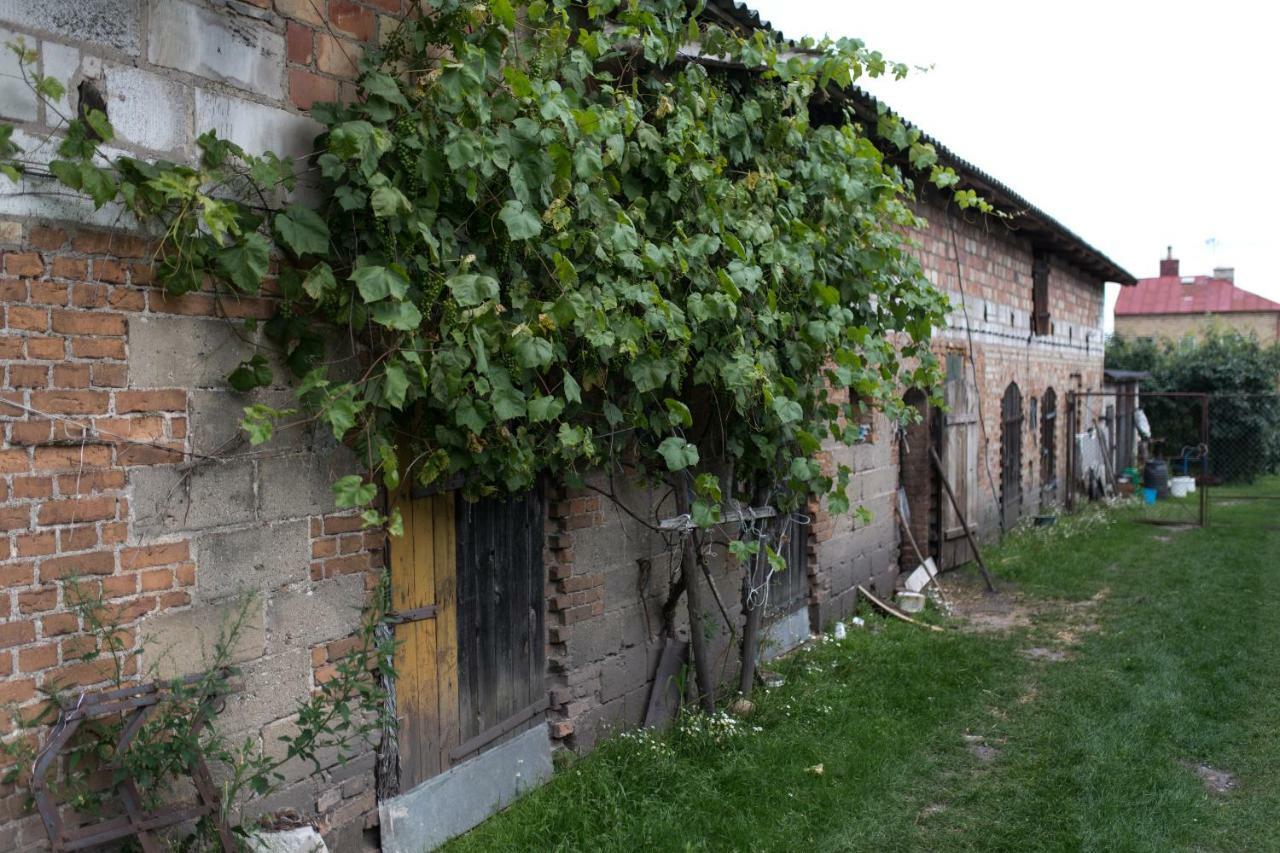 Agroturystyka Karpinscy Wizna Exterior foto